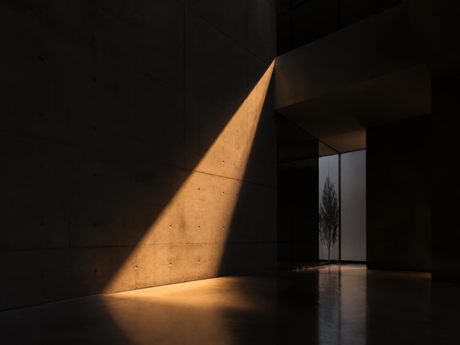 Commercial building facade in South West Sydney with light across concrete and glass